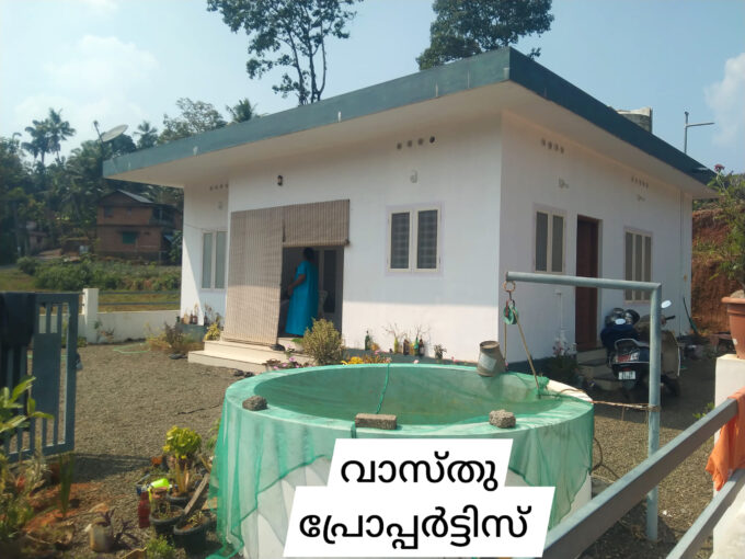 Spacious 3 BHK house for sale near Thodupuzha-Muvattupuzha Highway with ample land space.