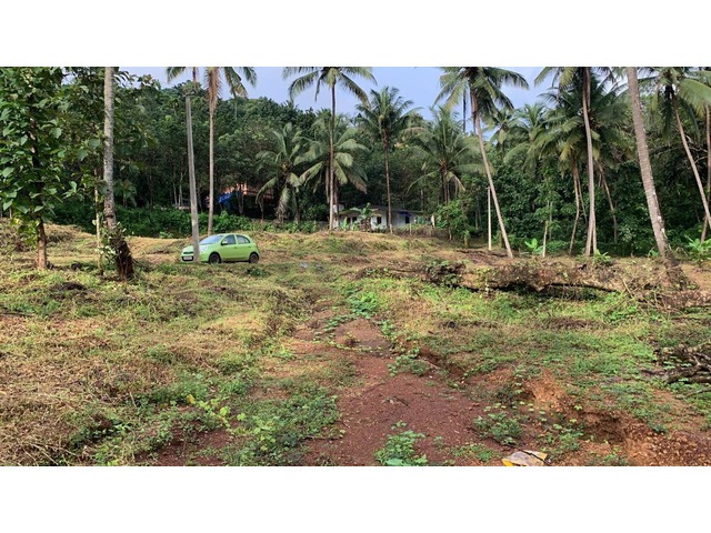 House Plots for Sale in Iritty – Peravoor | 2 Acres | 100m from Highway